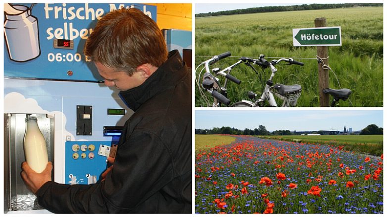 Fotocollage: Kipp, Legge