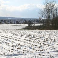 Foto: RLV-Archiv
